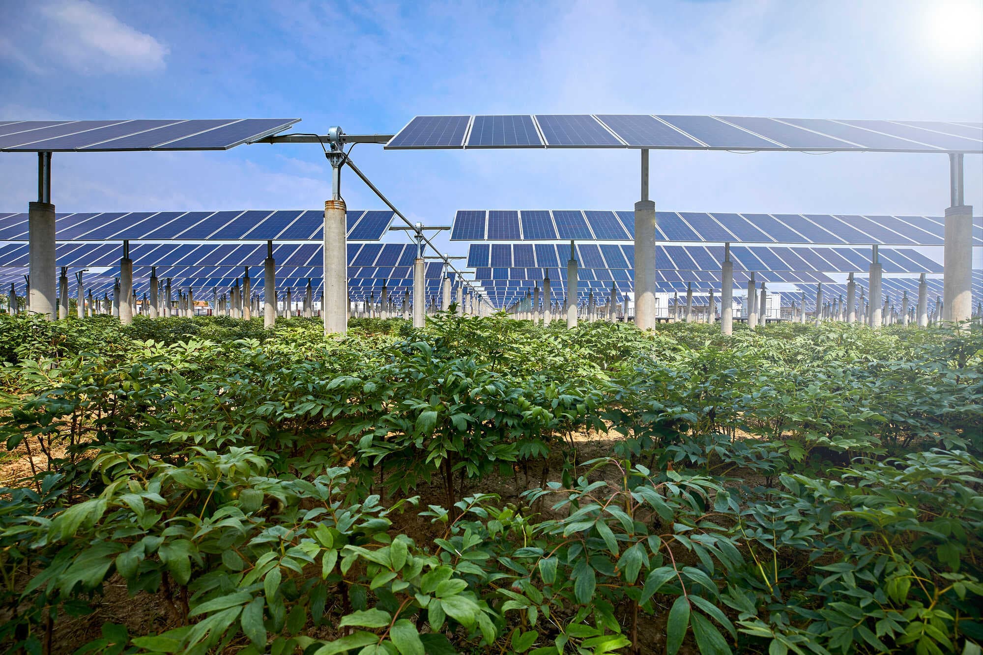 Industrial Solar Installation